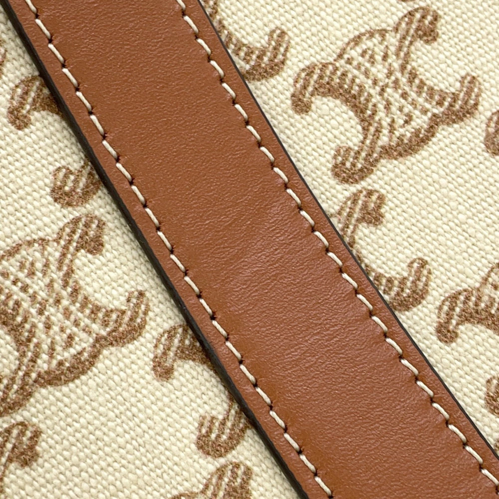 Celine Triomphe Museum Tote Bag - Picture 8 of 12